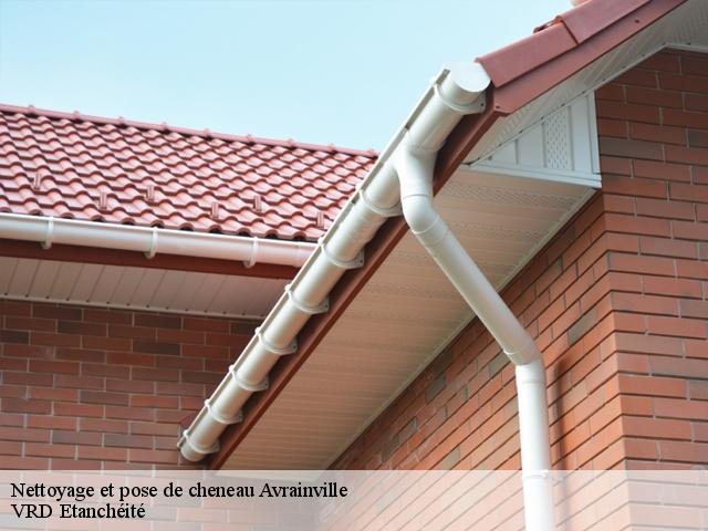 Nettoyage et pose de cheneau  avrainville-91630 VRD Etanchéité