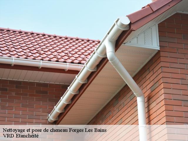 Nettoyage et pose de cheneau forges-les-bains-91470 VRD Etanchéité