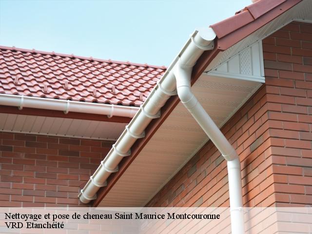Nettoyage et pose de cheneau saint-maurice-montcouronne-91530 VRD Etanchéité