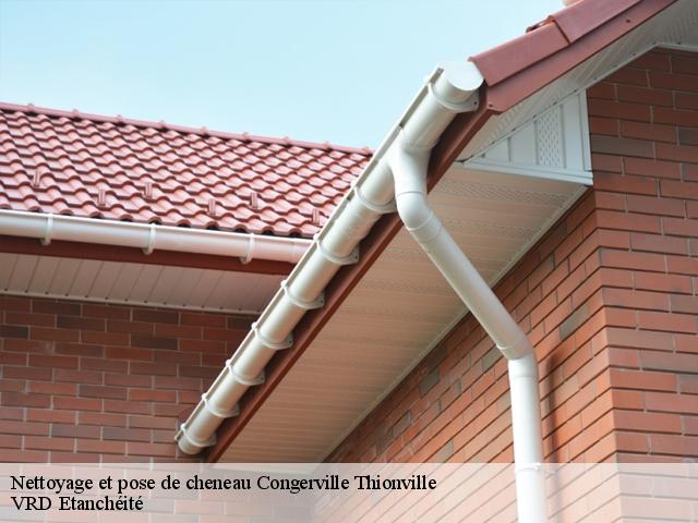 Nettoyage et pose de cheneau  congerville-thionville-91740 VRD Etanchéité