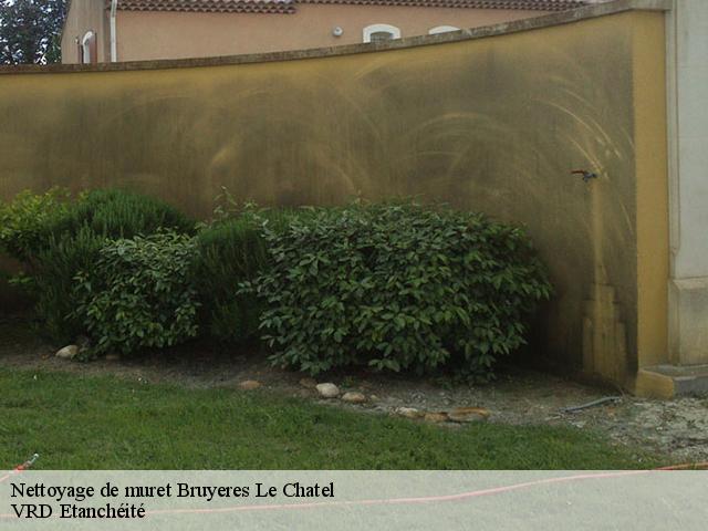 Nettoyage de muret bruyeres-le-chatel-91680 VRD Etanchéité