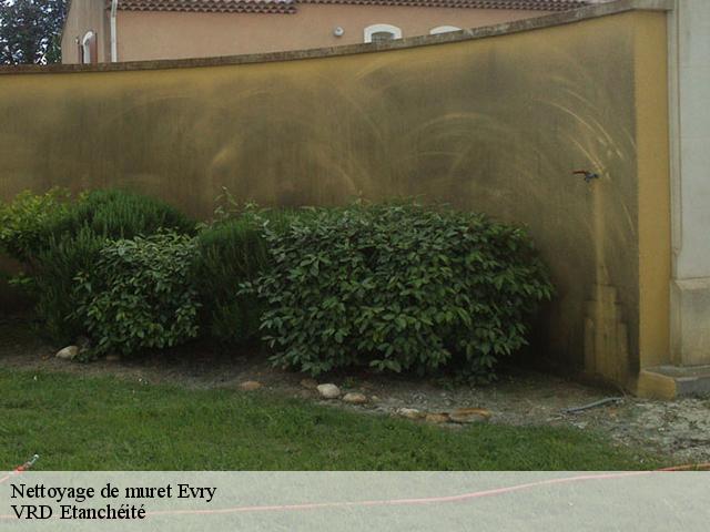 Nettoyage de muret  evry-91000 VRD Etanchéité