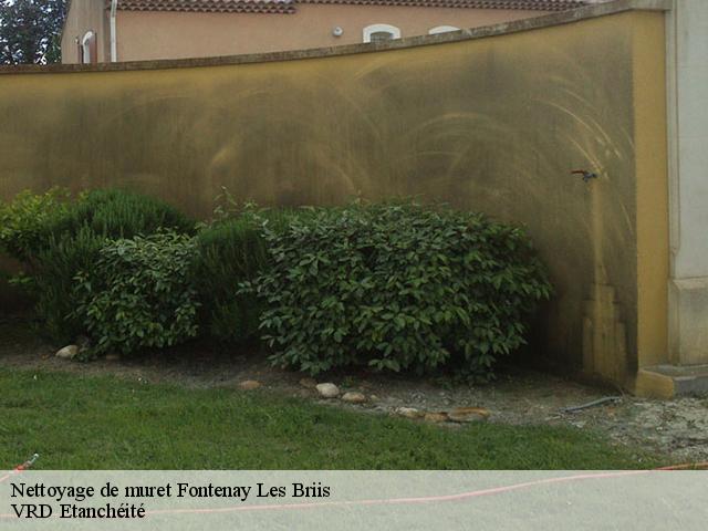 Nettoyage de muret fontenay-les-briis-91640 VRD Etanchéité