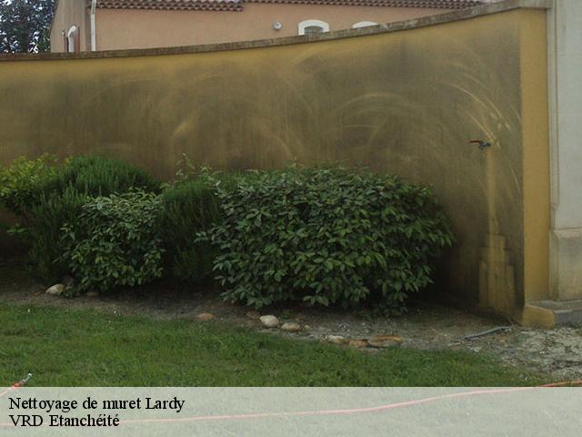 Nettoyage de muret  lardy-91510 VRD Etanchéité