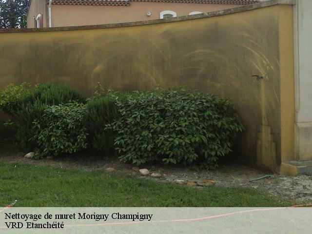 Nettoyage de muret morigny-champigny-91150 VRD Etanchéité