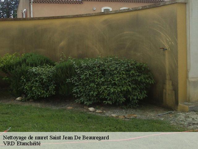 Nettoyage de muret  saint-jean-de-beauregard-91940 VRD Etanchéité